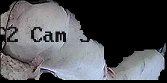 Crop