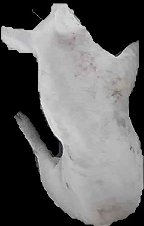 Crop