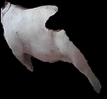 Crop