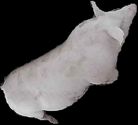 Crop