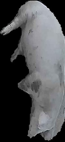 Crop