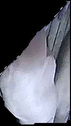 Crop
