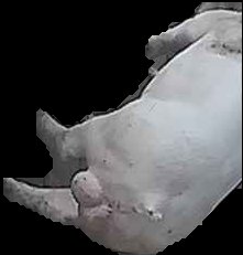 Crop
