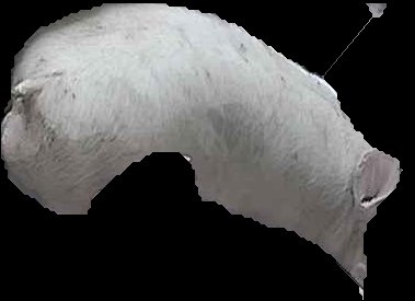 Crop