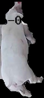 Crop