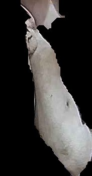 Crop