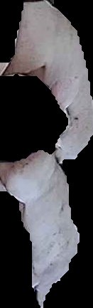 Crop