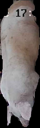 Crop