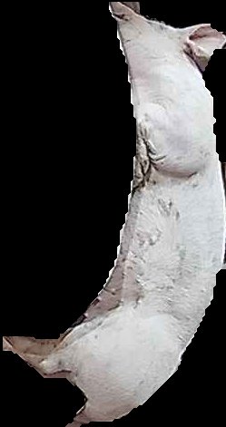 Crop