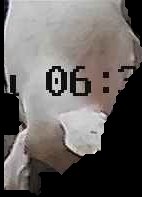 Crop