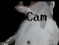 Crop