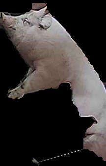 Crop