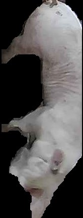 Crop