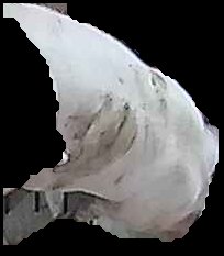 Crop