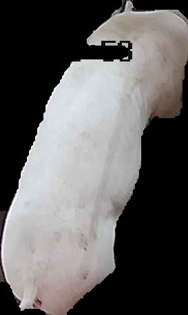Crop