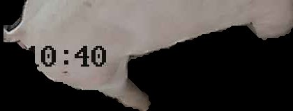 Crop