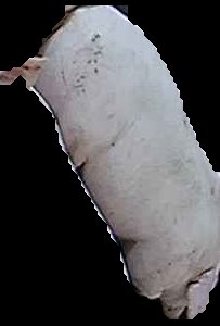 Crop