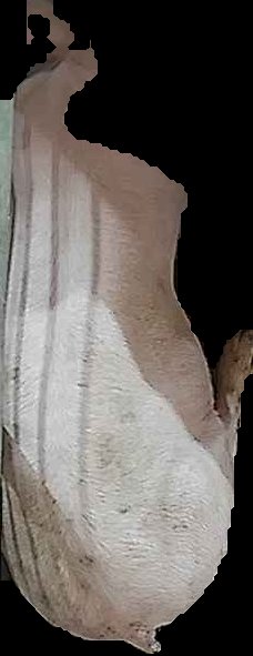 Crop