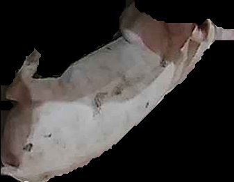 Crop