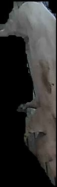 Crop