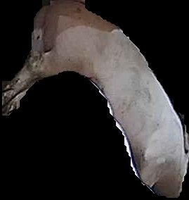 Crop