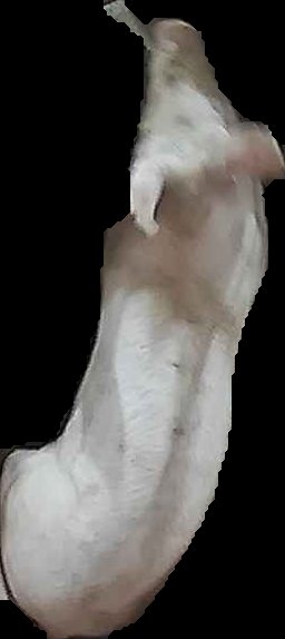 Crop