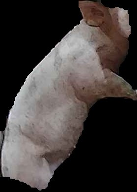 Crop