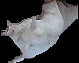 Crop