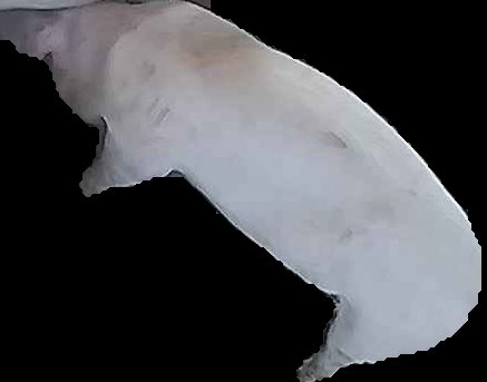Crop