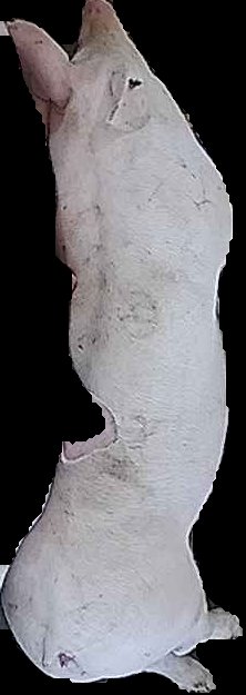 Crop
