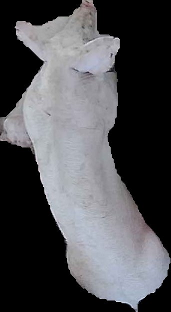 Crop