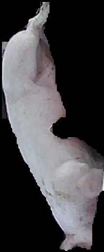 Crop