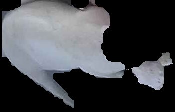 Crop
