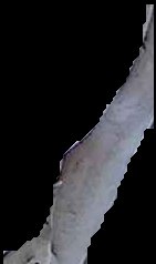 Crop