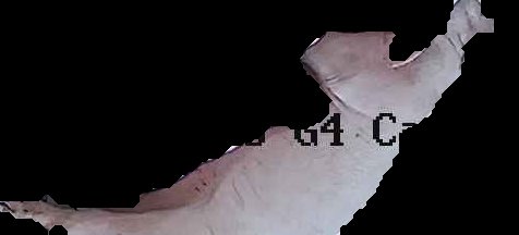 Crop