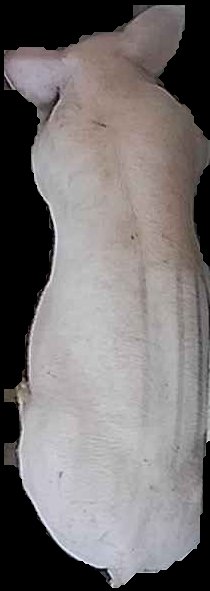 Crop
