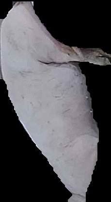 Crop