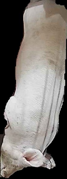 Crop
