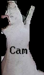 Crop