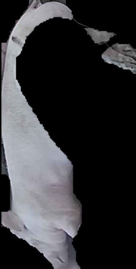 Crop