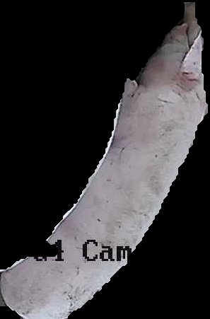 Crop