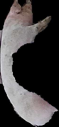 Crop
