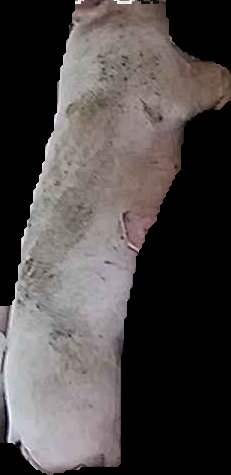 Crop