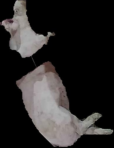 Crop