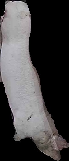 Crop