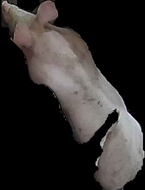 Crop