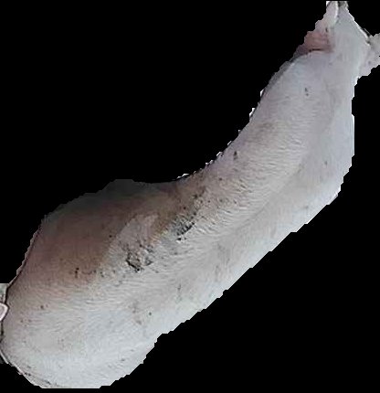 Crop