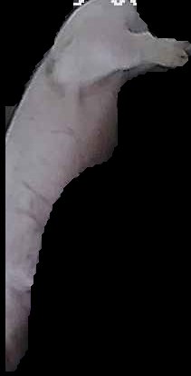 Crop