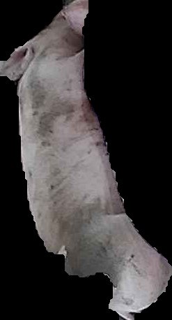 Crop