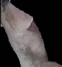 Crop